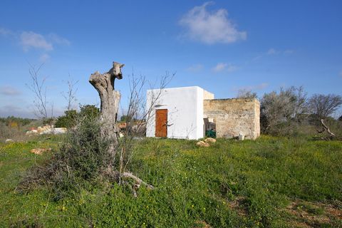 Helårsgrund i Alezio, Lecce, Alezio - € 79.000 | Ref: ALRIM-79 - foto 26