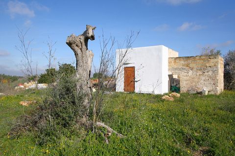 Helårsgrund i Alezio, Lecce, Alezio - € 79.000 | Ref: ALRIM-79 - foto 27