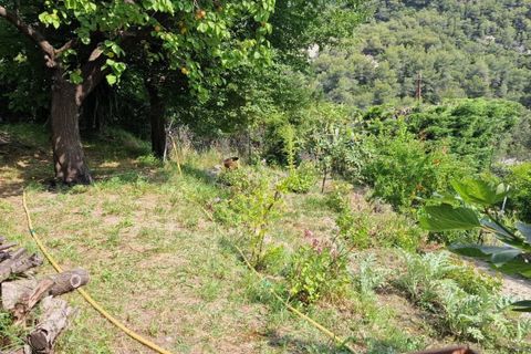 Terra a Menton, Alpes-Maritimes, Menton - € 250.000 | Ref: 86518126 - foto 12