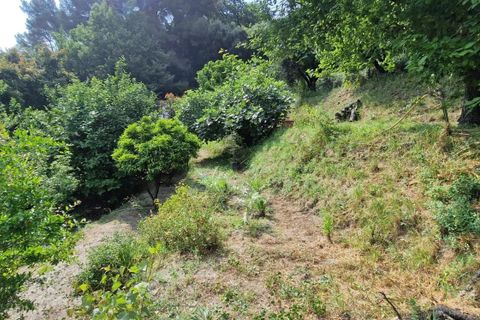 Terra a Menton, Alpes-Maritimes, Menton - € 250.000 | Ref: 86518126 - foto 14