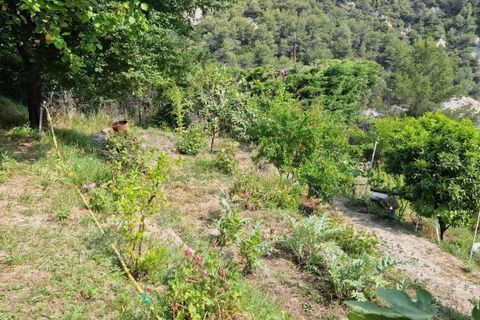 Terra a Menton, Alpes-Maritimes, Menton - € 250.000 | Ref: 86518126 - foto 16
