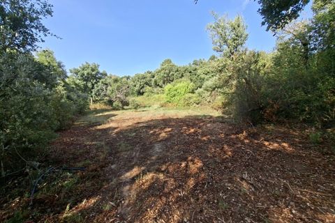 Tomt i Fundao, Castelo Branco, Fundao - € 45 000 | Ref: W6436 - foto 2