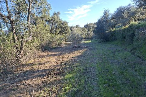 Helårsgrund i Fundao, Castelo Branco, Fundao - € 15.000 | Ref: W6435 - foto 2