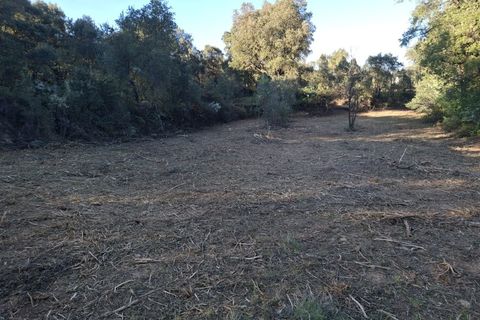 Helårsgrund i Fundao, Castelo Branco, Fundao - € 15.000 | Ref: W6435 - foto 5