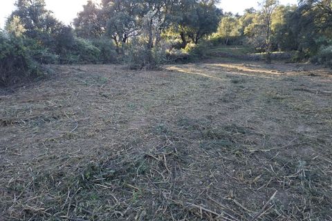 Helårsgrund i Fundao, Castelo Branco, Fundao - € 15.000 | Ref: W6435 - foto 6