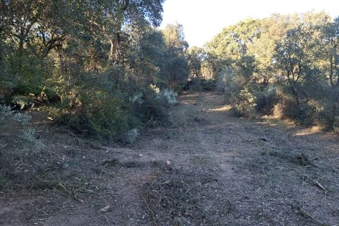 Helårsgrund i Fundao, Castelo Branco, Fundao - € 15.000 | Ref: W6435 - foto 7