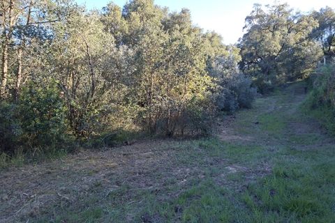 Helårsgrund i Fundao, Castelo Branco, Fundao - € 15.000 | Ref: W6435 - foto 10