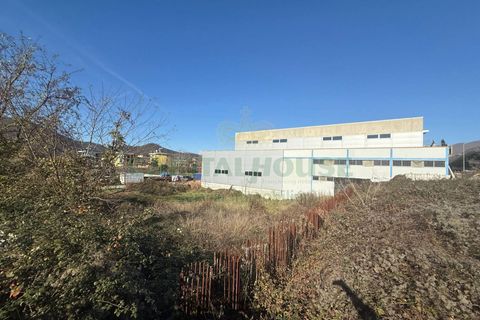 Terra a Baronissi, Salerno, Baronissi - € 420.000 | Ref: 202 - foto 3