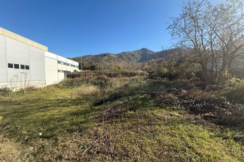 Terra a Baronissi, Salerno, Baronissi - € 420.000 | Ref: 202 - foto 4
