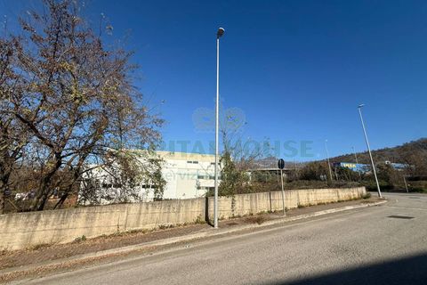 Terra a Baronissi, Salerno, Baronissi - € 420.000 | Ref: 202 - foto 5