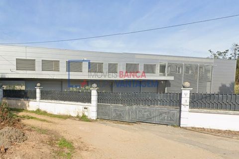 Erhvervsejendom i Agueda, Aveiro, Agueda - € 330.750 | Ref: N-30039 - foto 2