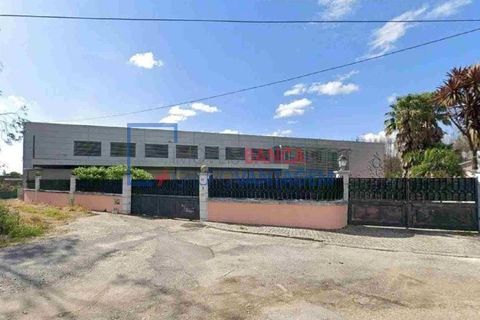 Erhvervsejendom i Agueda, Aveiro, Agueda - € 330.750 | Ref: N-30039 - foto 3