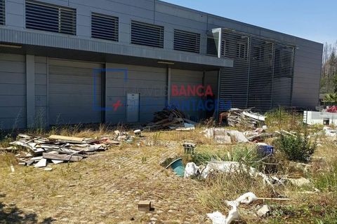 Erhvervsejendom i Agueda, Aveiro, Agueda - € 330.750 | Ref: N-30039 - foto 5