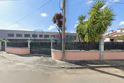 Erhvervsejendom i Agueda, Aveiro, Agueda - € 330.750 | Ref: N-30039 - foto 8