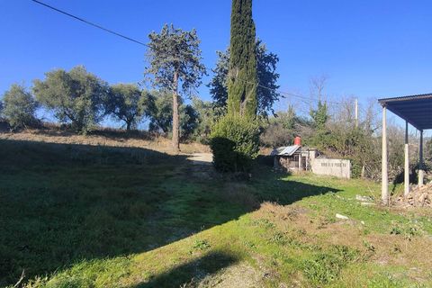 Landejendom i Offida, Ascoli Piceno, Offida - € 180.000 | Ref: CV9487 - foto 6