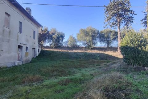 Landejendom i Offida, Ascoli Piceno, Offida - € 180.000 | Ref: CV9487 - foto 45