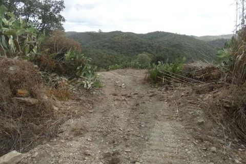 Helårsgrund i Ourique, Beja, Ourique - € 87.000 | Ref: KWPT-025460 - foto 7