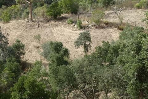 Helårsgrund i Ourique, Beja, Ourique - € 87.000 | Ref: KWPT-025460 - foto 9