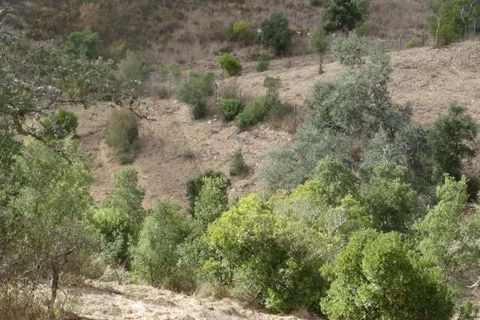 Helårsgrund i Ourique, Beja, Ourique - € 87.000 | Ref: KWPT-025460 - foto 10