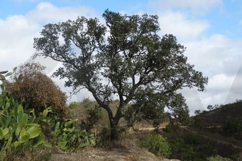 Helårsgrund i Ourique, Beja, Ourique - € 87.000 | Ref: KWPT-025460 - foto 11