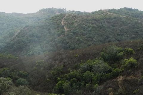 Helårsgrund i Ourique, Beja, Ourique - € 87.000 | Ref: KWPT-025460 - foto 12