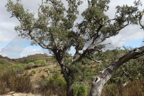 Helårsgrund i Ourique, Beja, Ourique - € 87.000 | Ref: KWPT-025460 - foto 13
