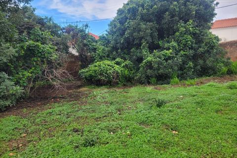 Helårsgrund i Algoz, Faro, Algoz - € 450.000 | Ref: KWPT-025356 - foto 3