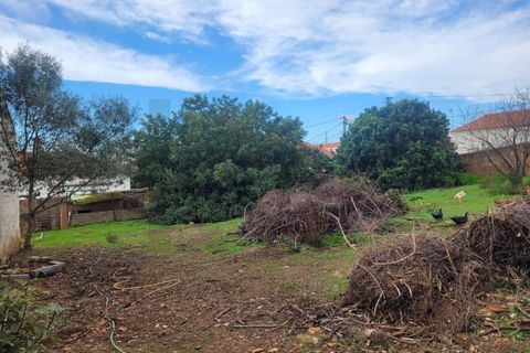 Helårsgrund i Algoz, Faro, Algoz - € 450.000 | Ref: KWPT-025356 - foto 8