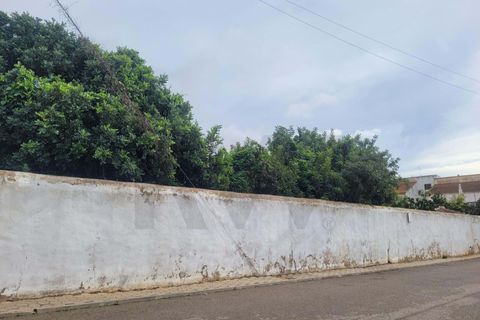 Helårsgrund i Algoz, Faro, Algoz - € 450.000 | Ref: KWPT-025356 - foto 10