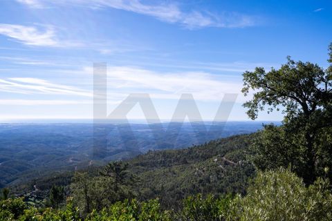 Villa i Monchique, Faro, Monchique - € 795.000 | Ref: KWPT-025656 - foto 10