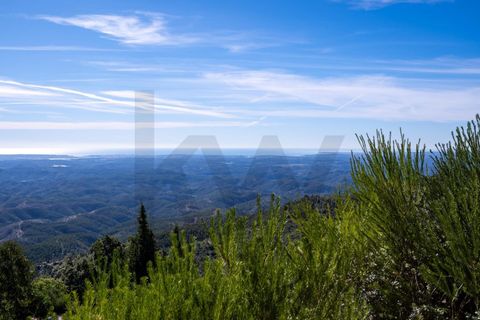 Villa i Monchique, Faro, Monchique - € 795.000 | Ref: KWPT-025656 - foto 42