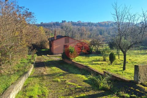 Villa a Benevento, Benevento, Benevento - € 95.000 | Ref: AA39798 - foto 17