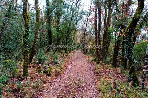 Træhytte i Cabasse, Var, Cabasse - € 220.000 | Ref: 1664 - foto 14