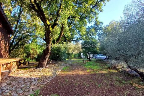 Træhytte i Cabasse, Var, Cabasse - € 220.000 | Ref: 1664 - foto 11