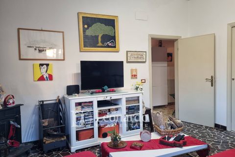 Leilighet i Pietrasanta, Lucca, Pietrasanta - € 270 000 | Ref: P460 - foto 11
