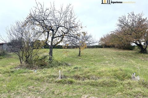 Helårsgrund i Casperia, Rieti, Casperia - € 29.000 | Ref: EBG-791 - foto 7