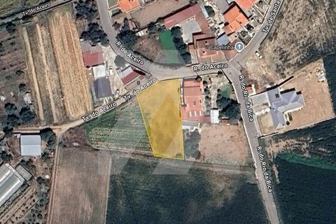 Helårsgrund i Estarreja, Aveiro, Estarreja - € 126.000 | Ref: 101.1251 - foto 1