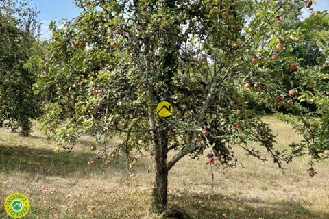 Villa i Cendrieux, Dordogne, Cendrieux - € 192.600 | Ref: 68CAL110466 - foto 9