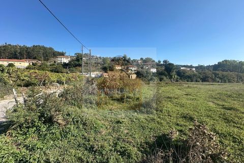 Helårsgrund i Penafiel, Porto, Penafiel - € 125.000 | Ref: TER_1079/3 - foto 2