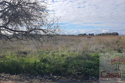 Helårsgrund i Manduel, Gard, Manduel - € 28.000 | Ref: 6900410037 - foto 2