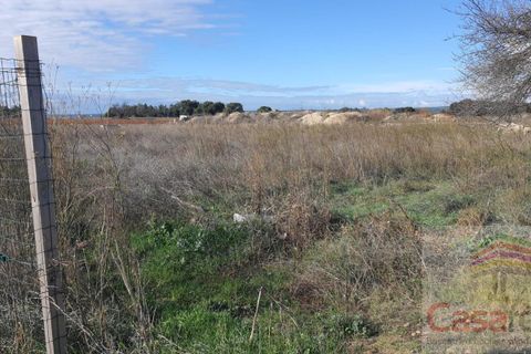 Helårsgrund i Manduel, Gard, Manduel - € 25.000 | Ref: 6900410036 - foto 2
