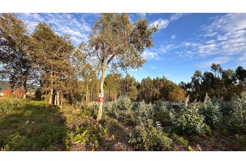 Helårsgrund i Ponte de Lima, Viana do Castelo, Ponte de Lima - € 190.000 | Ref: 251250216 - foto 1