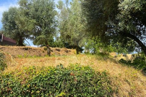 Helårsgrund i Viana do Castelo, Viana do Castelo, Viana do Castelo - € 140.000 | Ref: 251250102 - foto 3