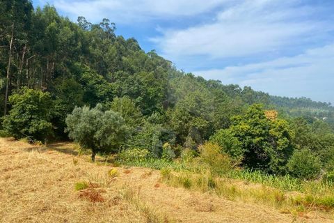 Helårsgrund i Viana do Castelo, Viana do Castelo, Viana do Castelo - € 140.000 | Ref: 251250102 - foto 5