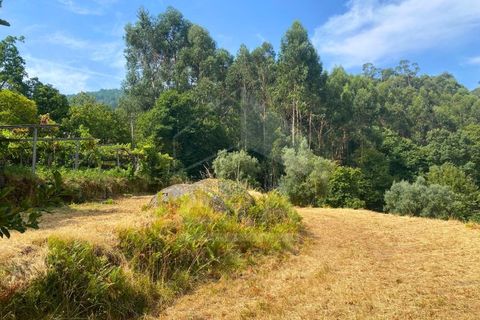 Helårsgrund i Viana do Castelo, Viana do Castelo, Viana do Castelo - € 140.000 | Ref: 251250102 - foto 7