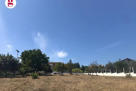 Villa i Vasto, Chieti, Vasto - € 340.000 | Ref: IM202570 - foto 5