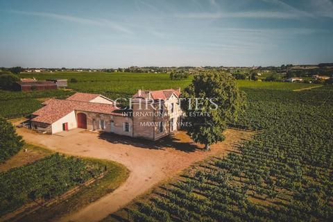 Villa i Saint-Emilion, Gironde, Saint-Emilion - € 2.500.000 | Ref: AMAX1012 - foto 4
