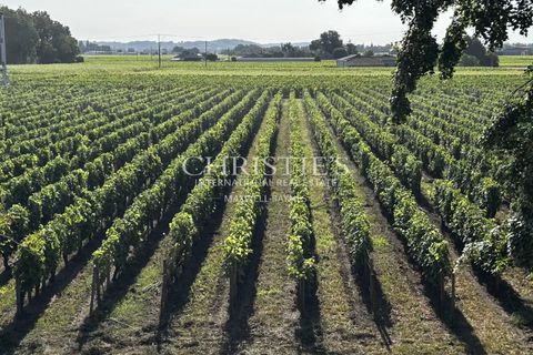Villa i Saint-Emilion, Gironde, Saint-Emilion - € 2.500.000 | Ref: AMAX1012 - foto 9