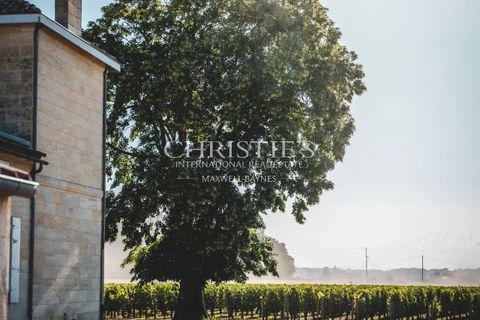Villa i Saint-Emilion, Gironde, Saint-Emilion - € 2.500.000 | Ref: AMAX1012 - foto 12