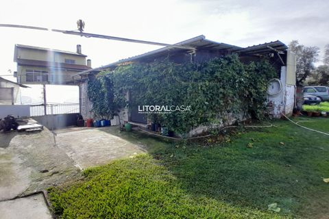 Villa i Oliveira do Bairro, Aveiro, Oliveira do Bairro - € 535.000 | Ref: VEN- 4145 - foto 34